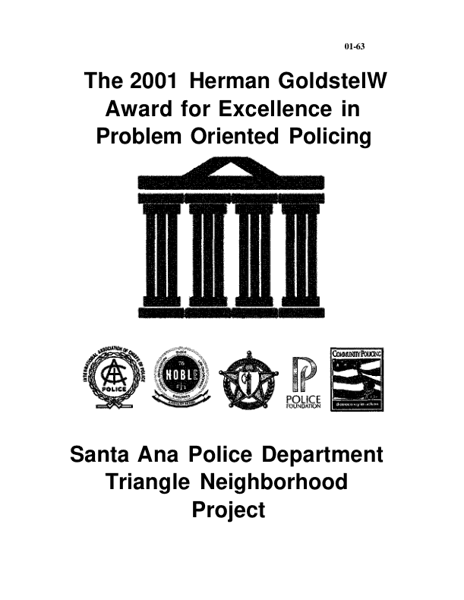 Triangle Neighborhood Project