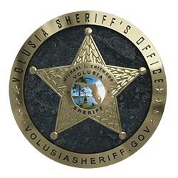 Volusia Sheriff's Office patch or logo
